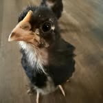Travis Woolman - @traviswoolman - Instagram