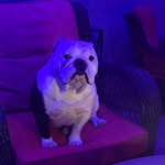 Travis Worthen - @thehatter_74 - Instagram