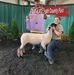 Travis Yonts - Facebook