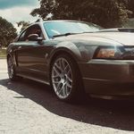 Travis Young - @_travis_young_ - Instagram