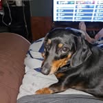 Tray Harris - @harristray - Instagram
