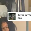Tray Williams - @tray.williams7 - TikTok
