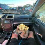 Trevor Bacon - @trevorbacon.8 - Instagram