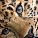 tre ♱ - @trejordan00 - Instagram