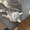 Tre Wilson - @tre.wilson3 - TikTok