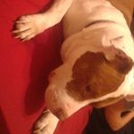 Tremayne walker - @tjwalker_06 - Instagram