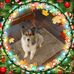 Trena Carter - Facebook