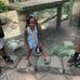 Trena Matthews - Facebook