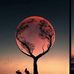 Trini Finity - Facebook