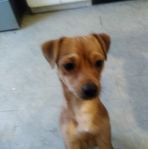 Trenda Dragoo - Facebook