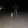 trent_armstrong44 - @trent_armstrong44 - TikTok
