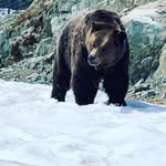 Trent Booth - @trent.booth.33 - Instagram