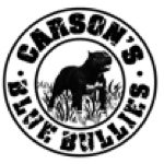 Trent Carson - @carsonsbluebullies - Instagram