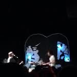 Trent Dalton - @bobodhi - Instagram