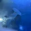 daniel trent - @daniel.trent30 - TikTok
