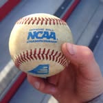 Trent D'Aniello - @trent_daniello_45 - Instagram