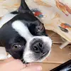 Trent Day941 - @trentday2 - TikTok