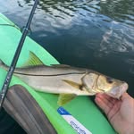 Trent Day - @inshore_slayer - Instagram