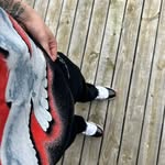 Trent Day - @trentday_ - Instagram