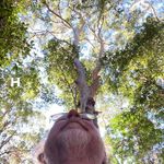 Trent Doyle - @trent.doyle.395 - Instagram