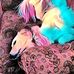 Trent Doyle - Facebook