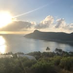 Trent Forrest - @forrestathletic - Instagram