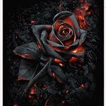 Trent Gary - @trentgary65 - Instagram