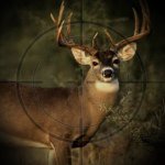 @trent_hunter - Instagram