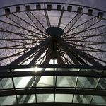 Trent Lawrence - @tlawrence1211 - Instagram