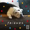 trentlawrence96 - @trentlawrence96 - TikTok