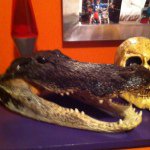 Trent Leonard - @trentleonard3 - Instagram