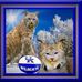 Trent Logan - Facebook