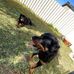 Trent Mason - Facebook