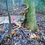 Trent Schmidt - @tinker2013.ts - Instagram