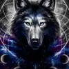 trent tuttle - @trent.tuttle - TikTok