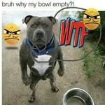 Trent Weaver - @trentweaver2200 - Instagram