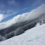 Trent Weaver - @trentweaver9 - Instagram