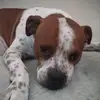 Trent Weaver - @trent.weaver4 - TikTok