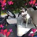 Tressa Evans - Facebook