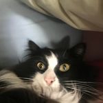 Treva Taylor - @treva.taylor.75 - Instagram