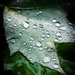 Trever Barker - @treverbarkerphotography - Instagram