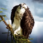 Trever Barker - @trulyswf - Instagram