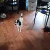 Trever Smith - @trever.smith8 - TikTok