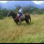 Robertho Treviño - @trevinorobertho - Instagram