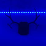 Trevor - @_trevor_allred_ - Instagram