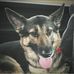 Trevor Barr - Facebook