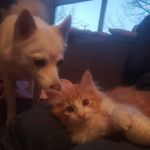 Trevor Bateman - @bateman3351 - Instagram