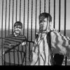 teebsrdllc - @trevorbeard26 - TikTok