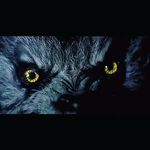 Trevor Beasley - @trevor_the_boogeyman - Instagram
