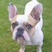Trevor Beasley - Facebook